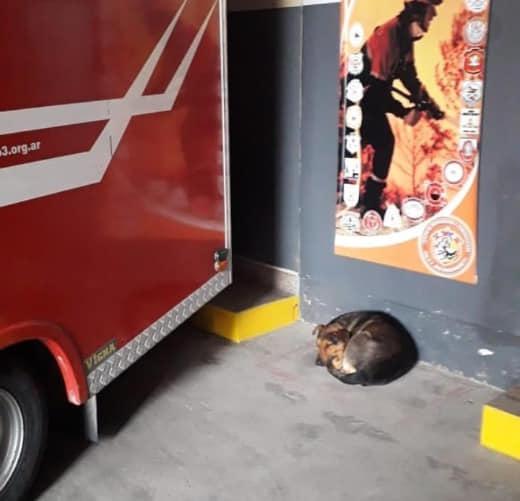 144970273_4020622794616869_1504253829728510336_n