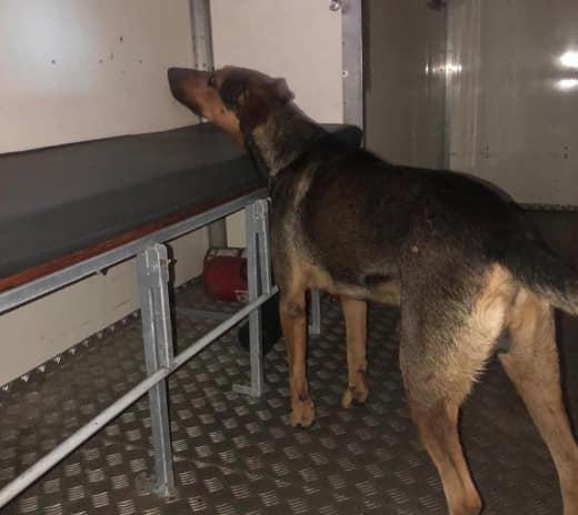 145546142_4020622887950193_3407252298984137483_n