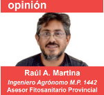 Raúl Martina