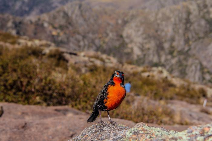 09072021-IMG_0720 (1)