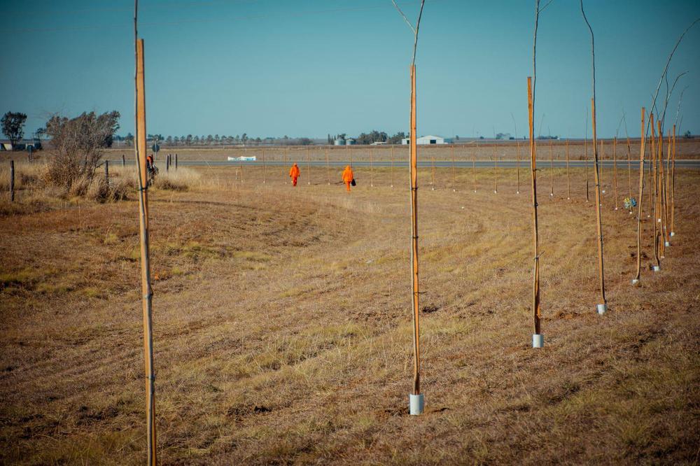 39982f99-d4ee-49ca-bedb-b919eb119708