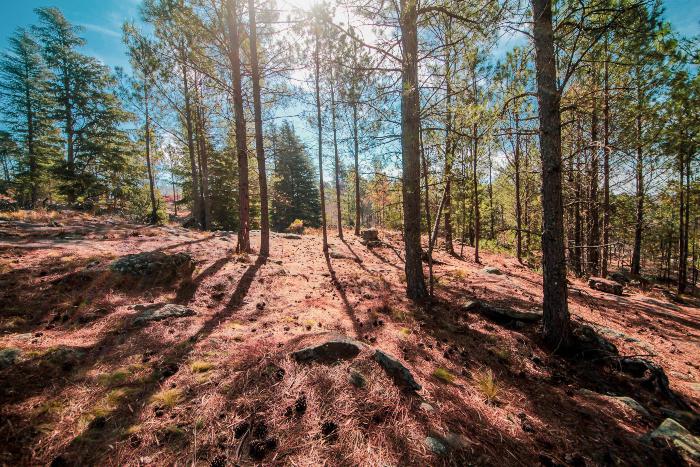 16082021-IMG_2135 (1)