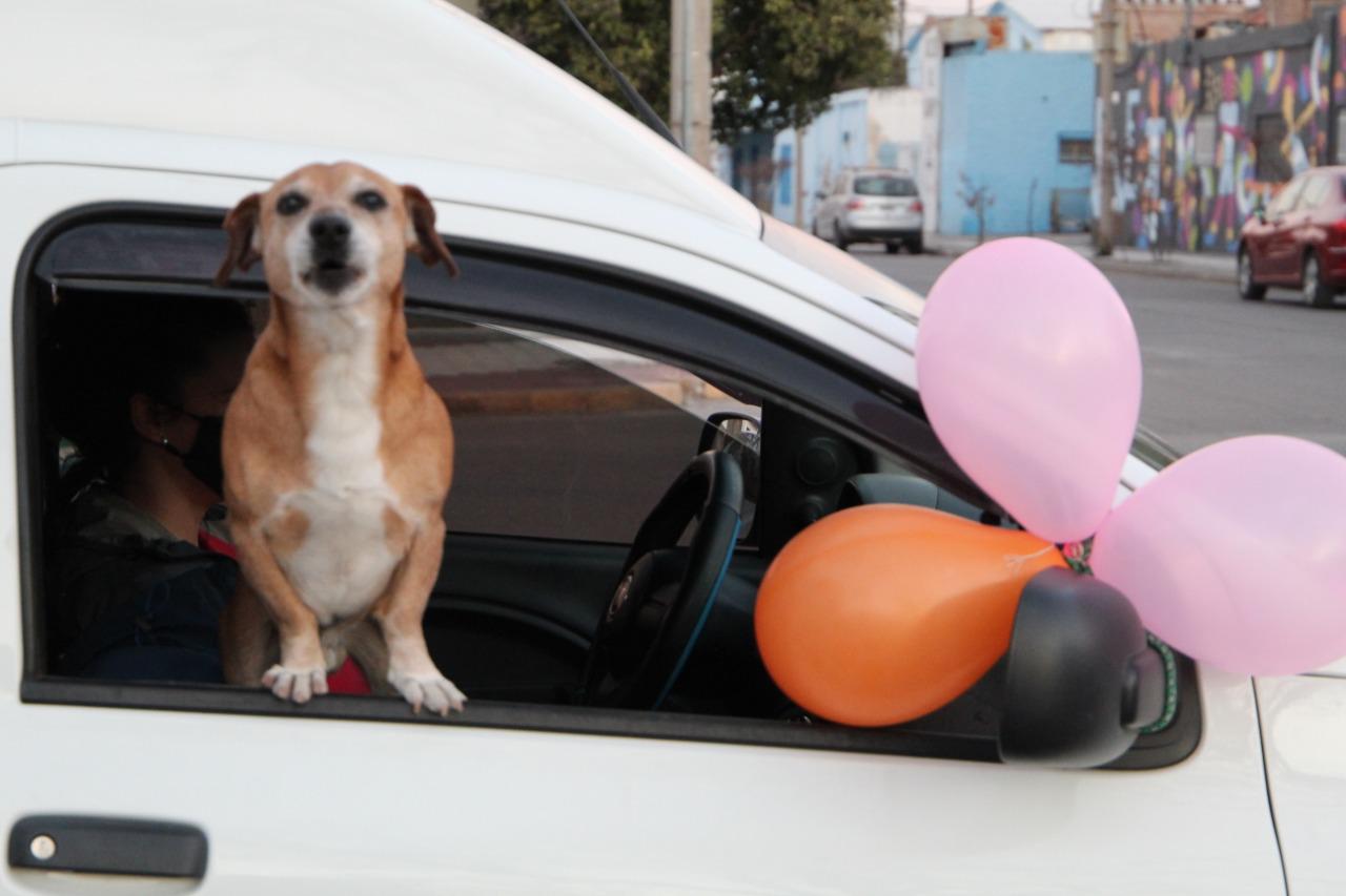 2f3acb39-4608-49d5-980d-761a7b569e78