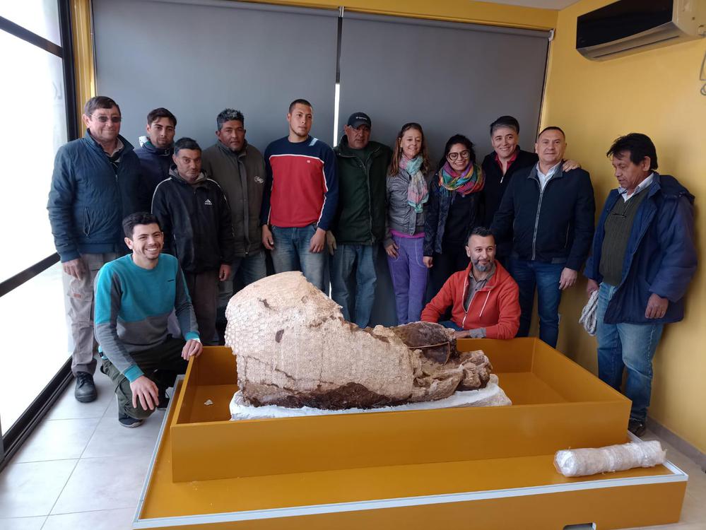 17600806-b419-441d-b124-f7bdaeb9b9a9