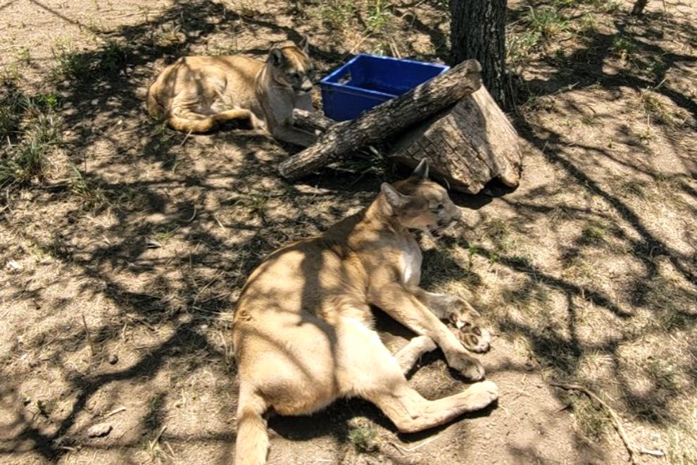 WhatsApp-Image-2023-11-22-at-3.13.28-PM