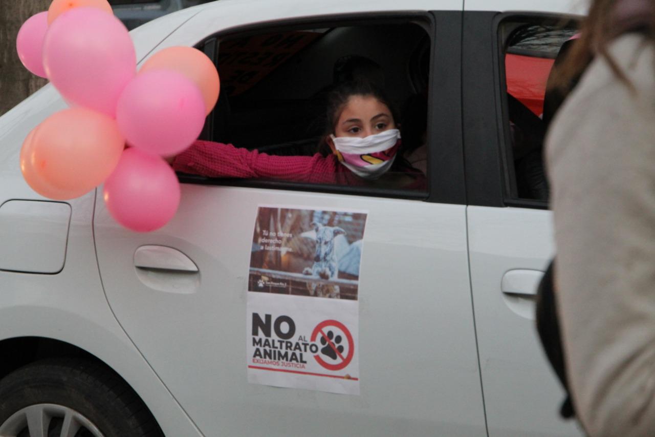 cb77a0ca-204b-40e8-9c7e-4c7d60c22e5b