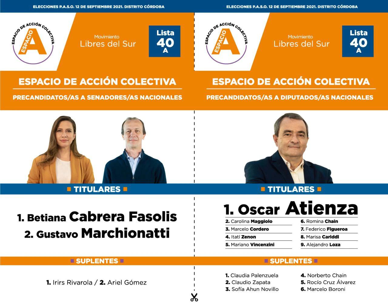 Accion colectiva