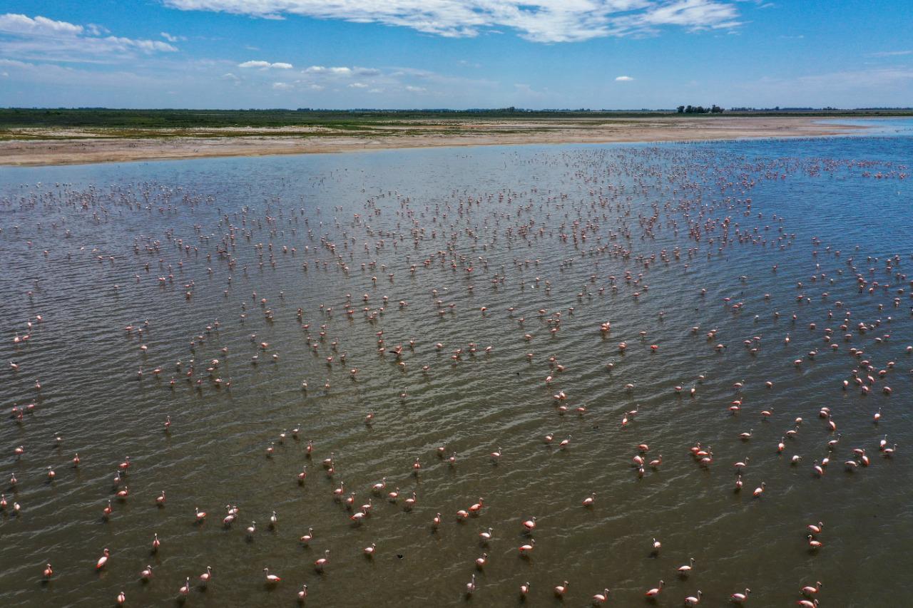 1b2b84cf-e825-414b-a3cf-682cf9e63857