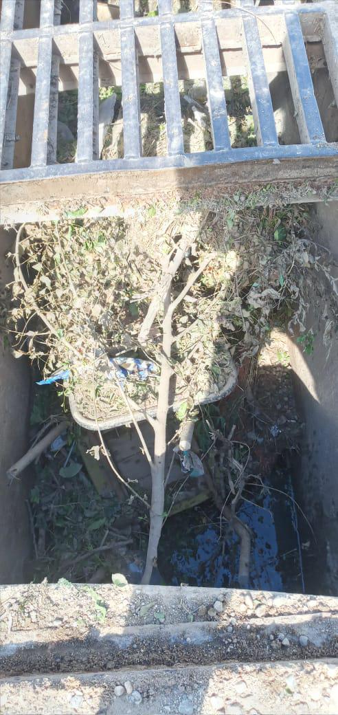 WhatsApp Image 2021-01-28 at 09.33.59