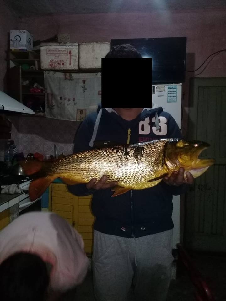 40862246_710952735929485_2514259574312140800_n