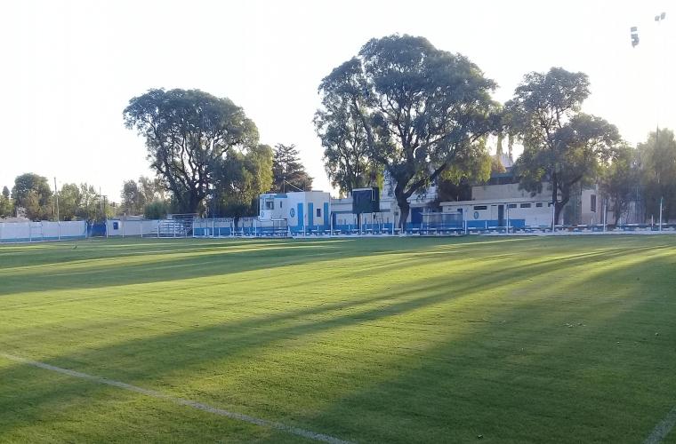 Cancha - árboles