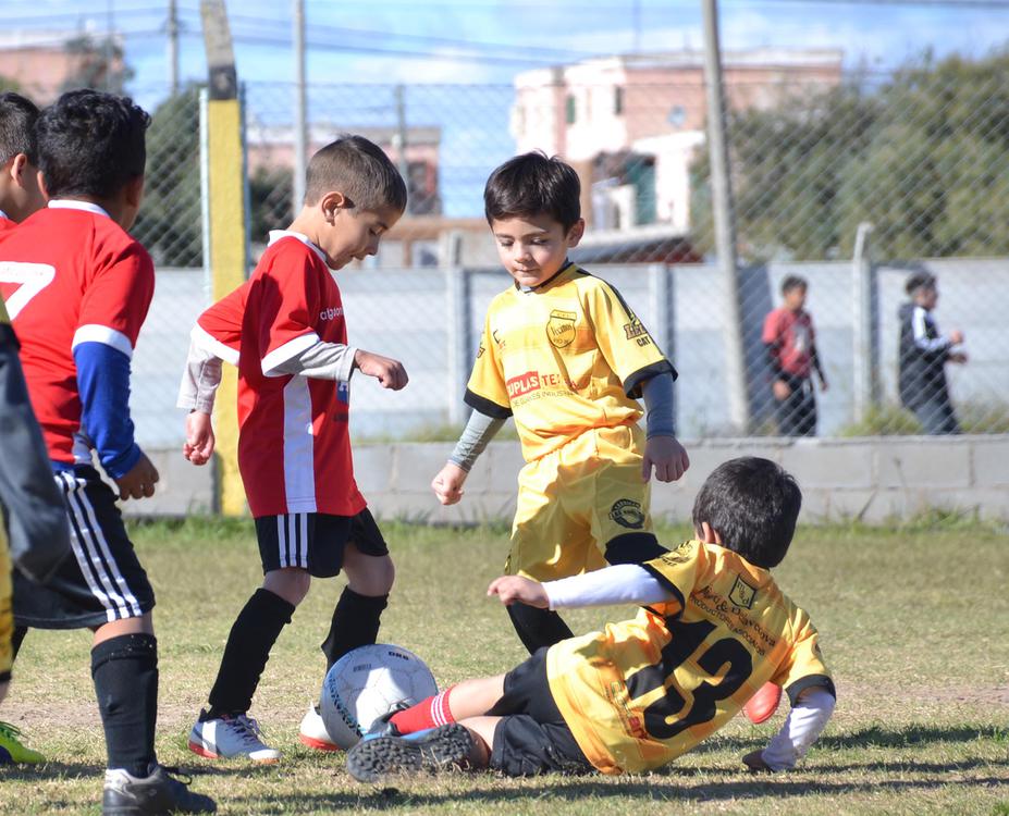 DEPORTES para la web