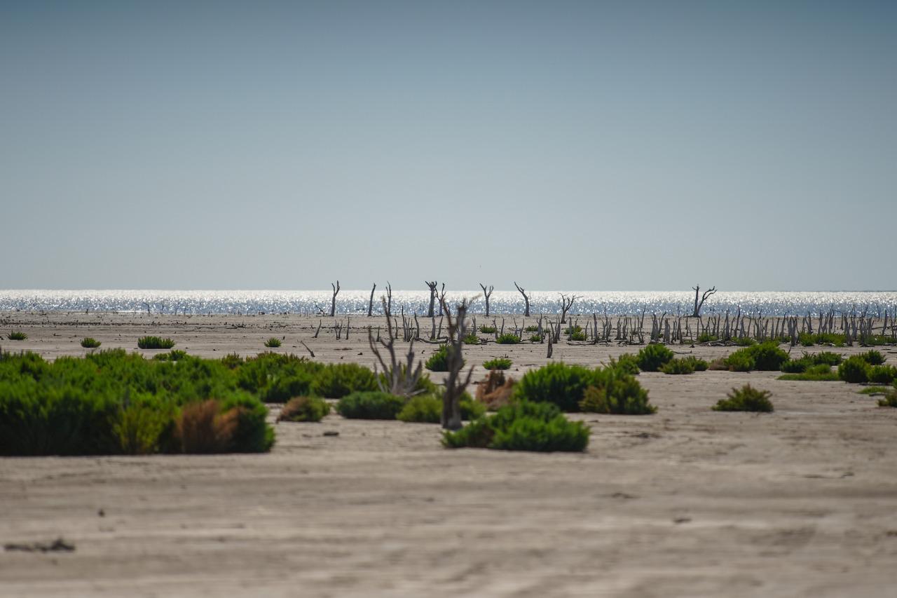 b6c2a40c-ff51-4f23-8ee6-df88cab7fb30