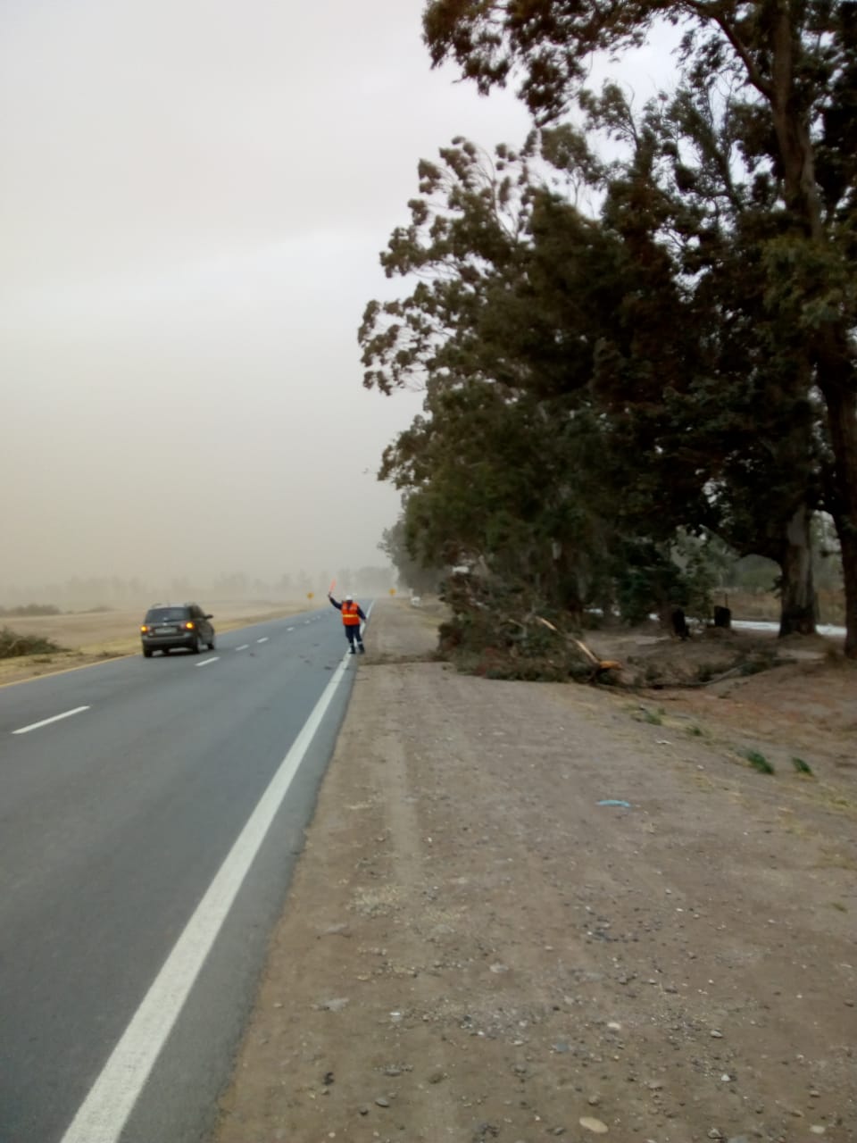 WhatsApp Image 2018-08-07 at 14.48.11 (1)