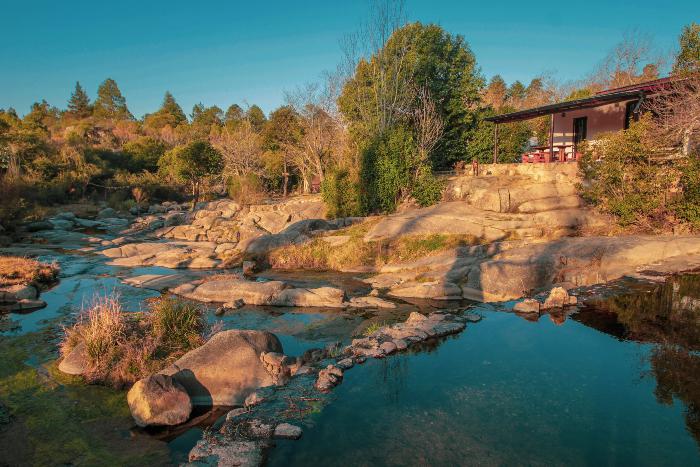 17082021-IMG_2283 (1)