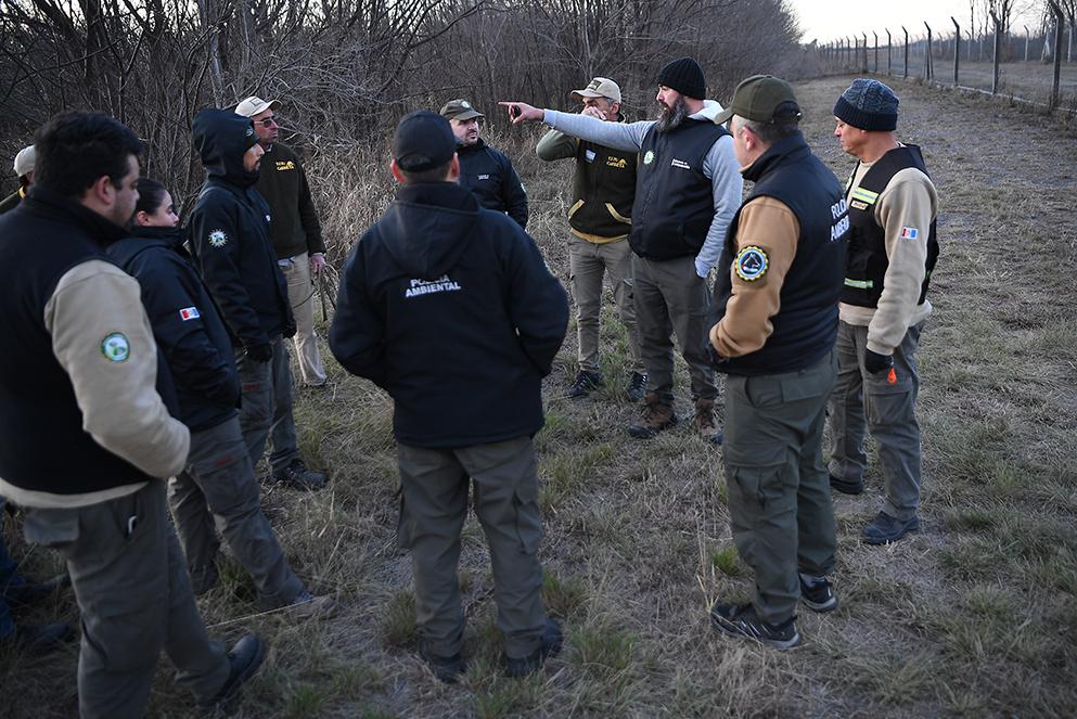 captura-del-ciervo_2306-copia