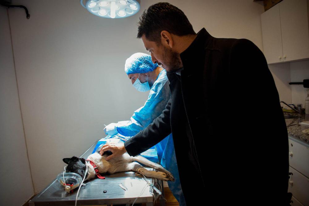 e431efa6-ad08-4568-aa43-2b5442b71376