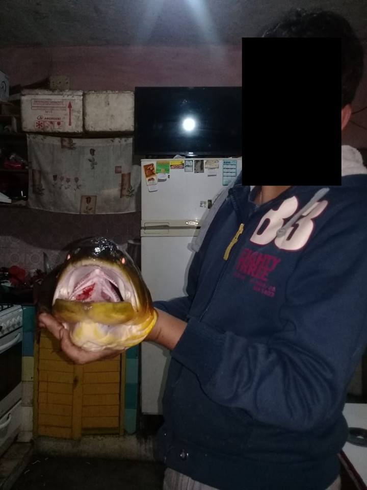 40797599_710952722596153_974256946766938112_n