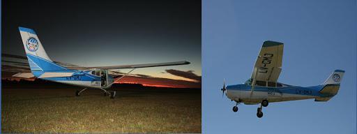 Avion