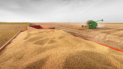 AGRO Martina