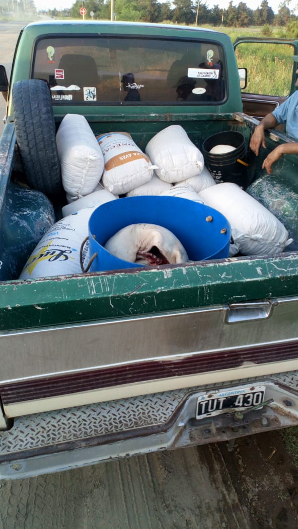 81e02b79-d68c-4720-9da5-15321fa3f178