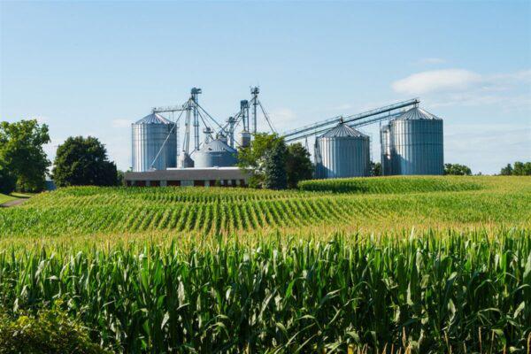 AGRO Empresas