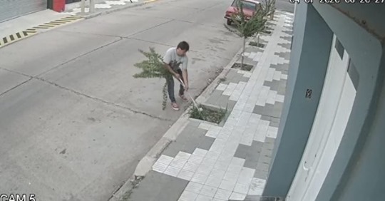 video