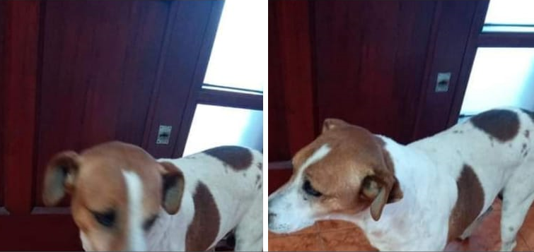 Sin título