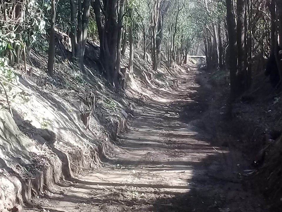 canal