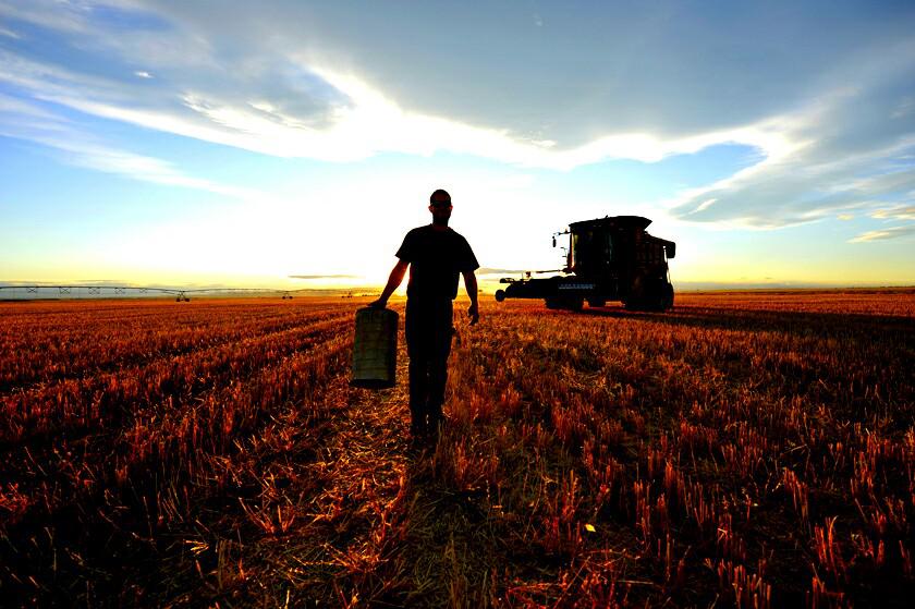 AGRO Productores