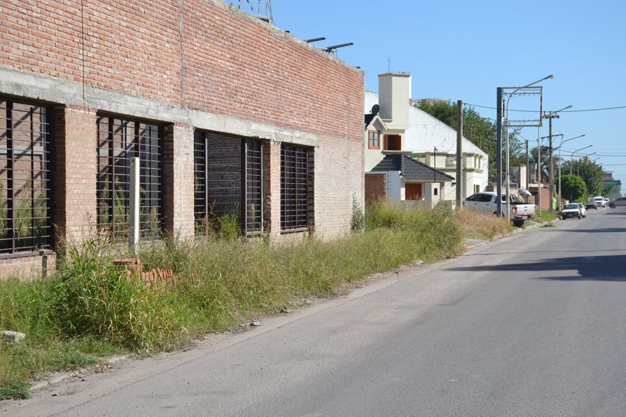 LOCALES Arboles