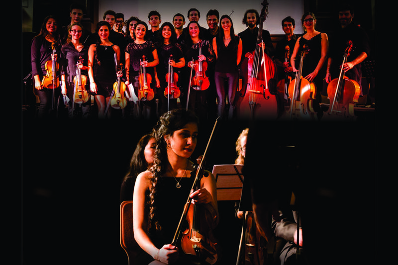 Camerata