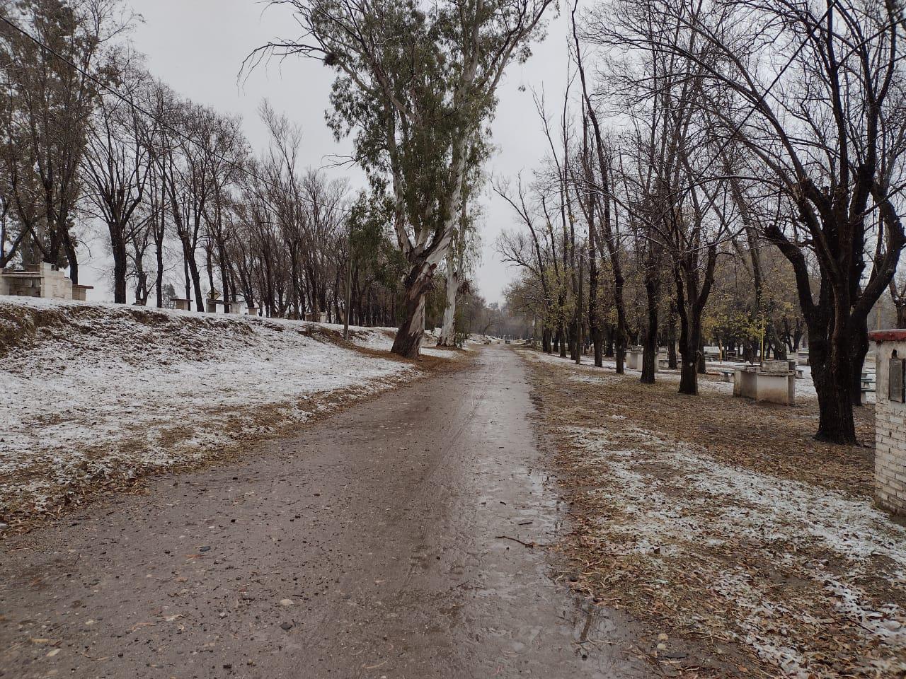 WhatsApp Image 2021-06-16 at 12.47.39