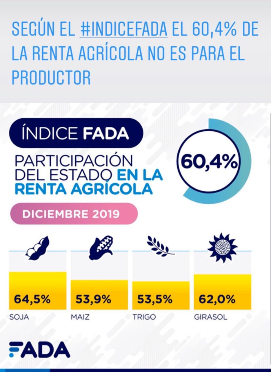 GRAFICO 1