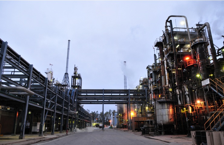 Petro