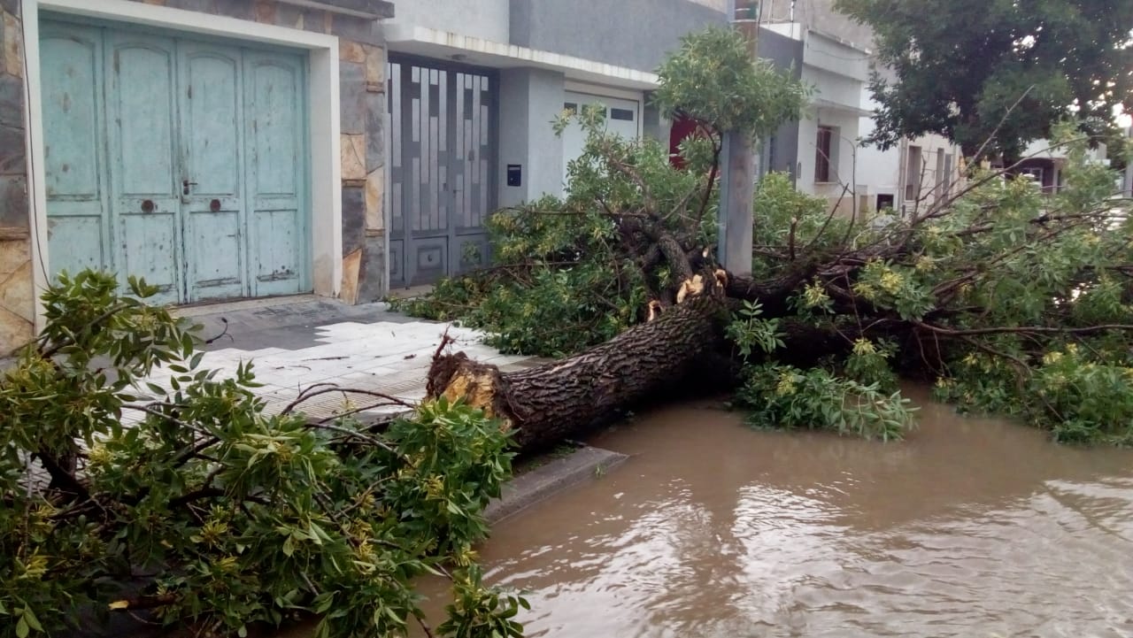 b5715556-88b4-49fd-954f-cc938468c4ed