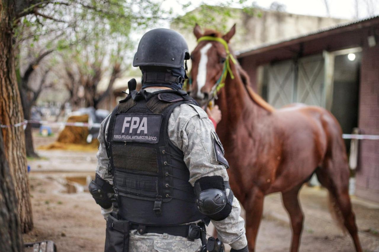 c0e1a05e-e0e6-4ec0-a6ad-426cf3839d05