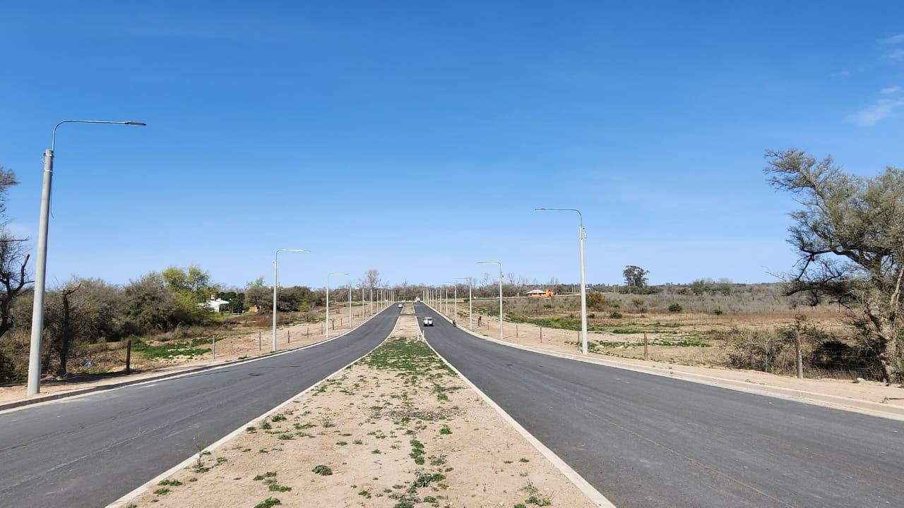 REGIONALES - Avenida