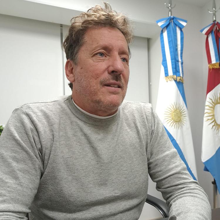 REGIONALES - Scorza