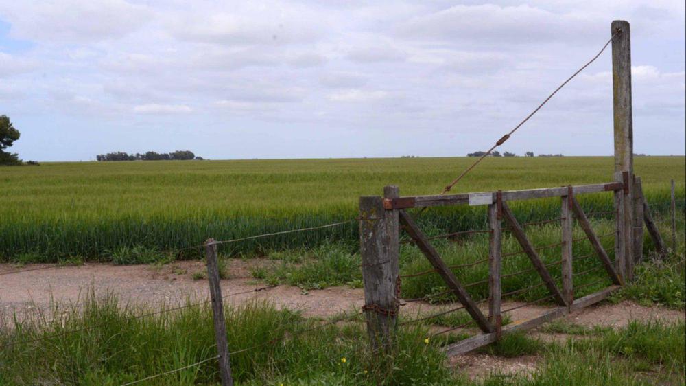 campo