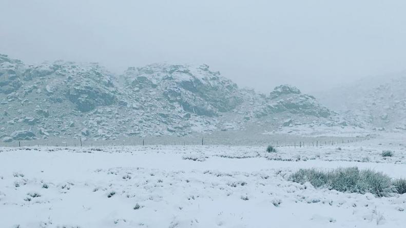 nieve