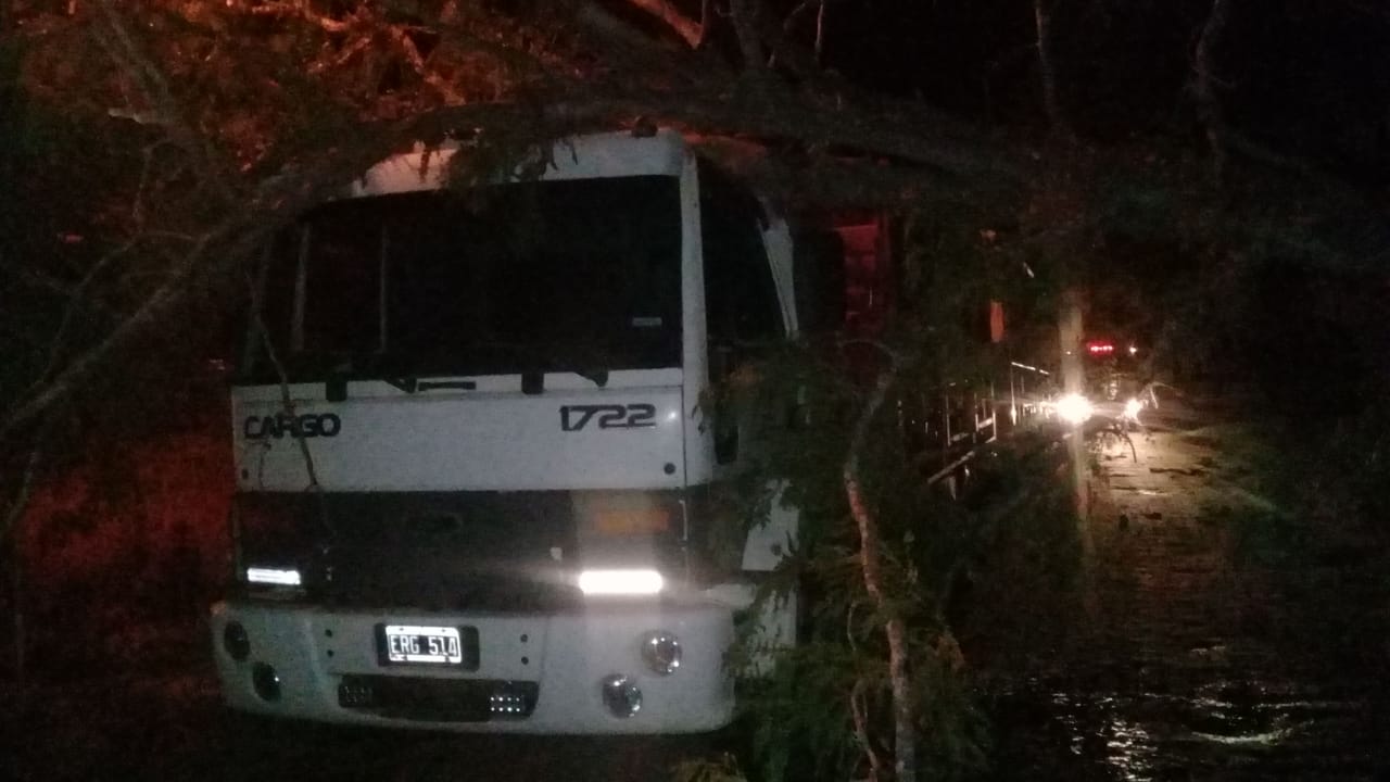 1a6d81c6-4b54-449c-9c3e-bbbe1f8397ef