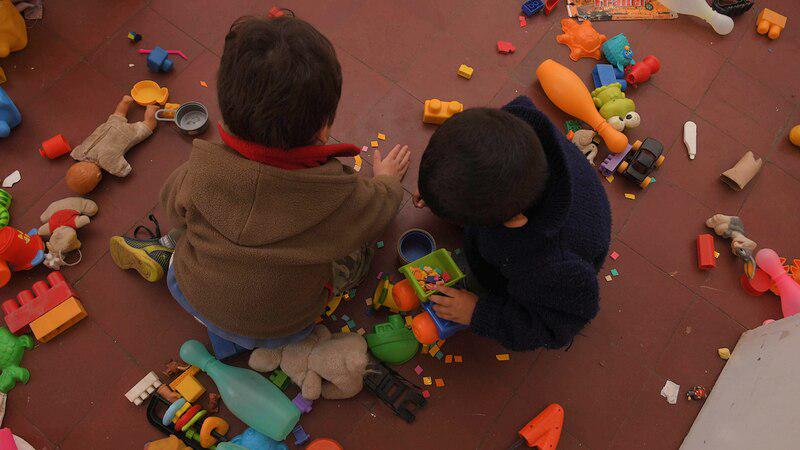 nenes
