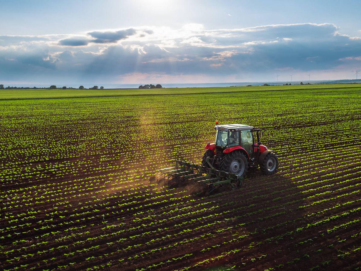 AGRO Siembra