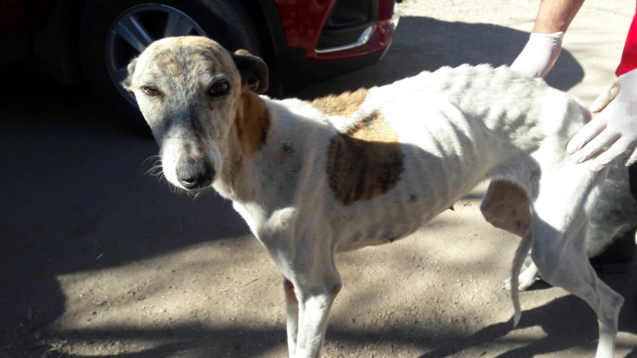 d09b285d-7f4b-4831-bc25-7d8210f857a5