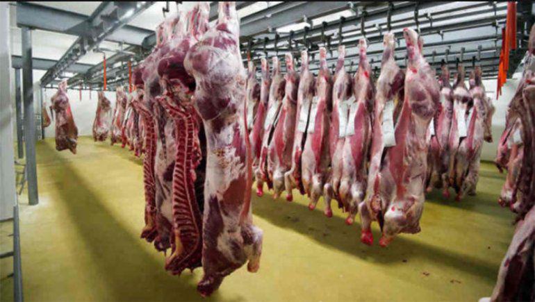 wwwdefrentealcampocomar_wp-content_uploads_2017_12_carne-vacuna-colgada-en-frigorifico-678x381jpg