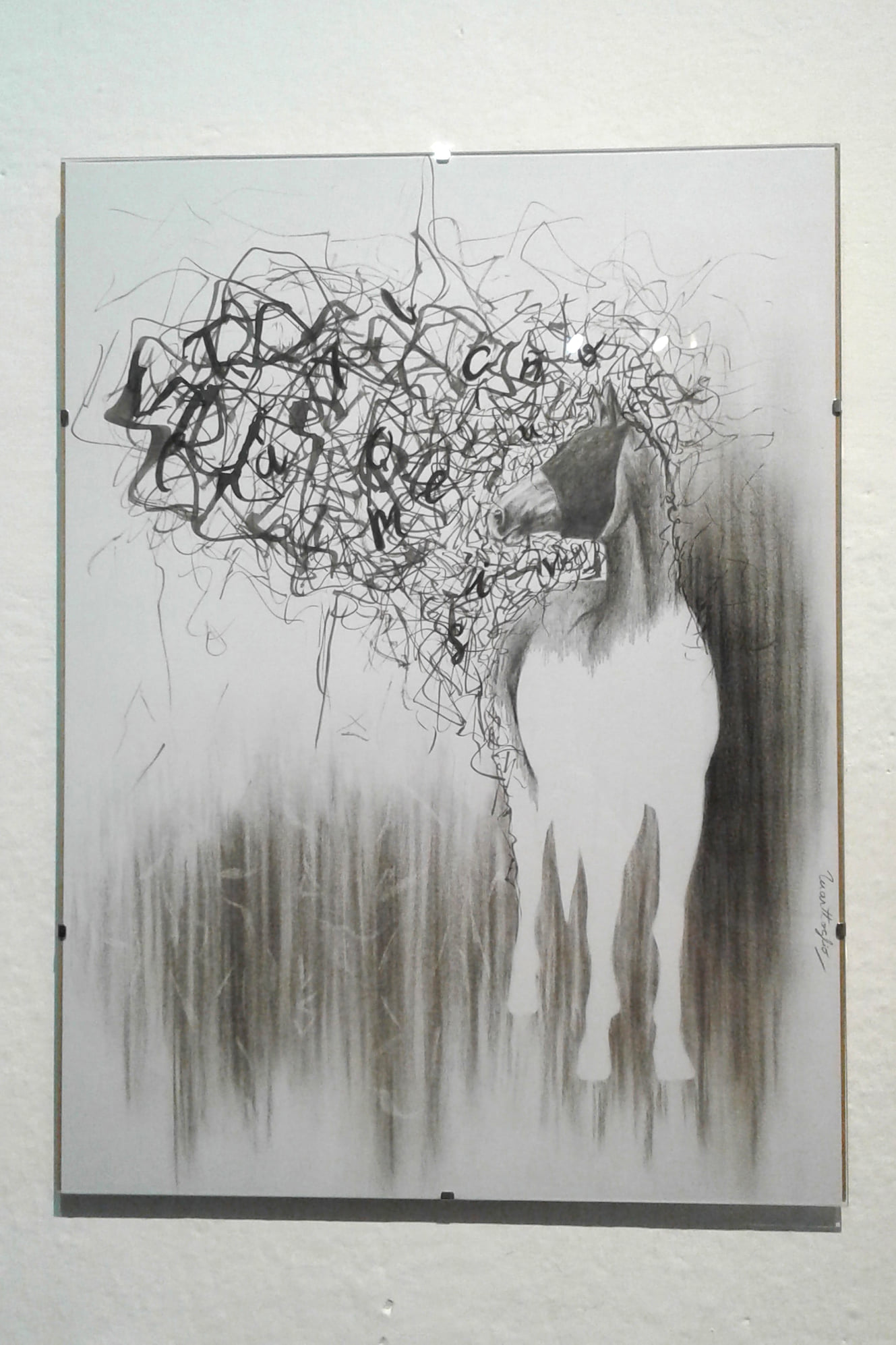 ARTES Caballo