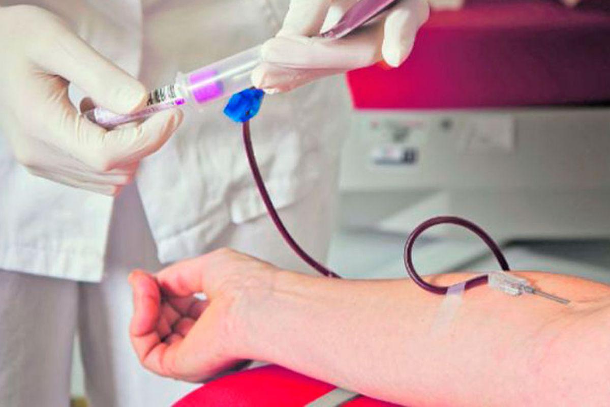 donacion-de-sangre