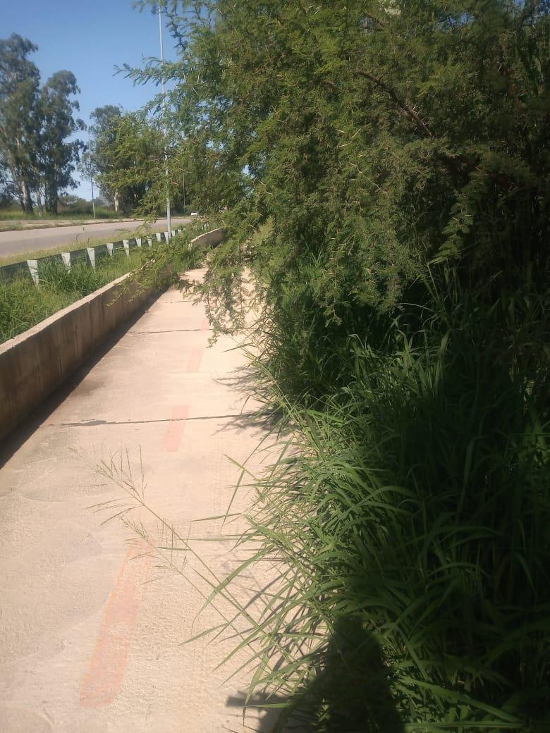 1b7e7a44-822d-4e60-97bd-c287ea3ebfbb