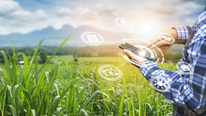 cba0cea63bbaf3e1bb97290427743704367c7fc21e692790_840